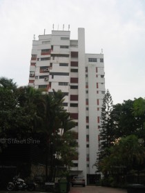 Holland Tower (D10), Apartment #1257232